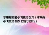 水果招惹的小飞虫怎么弄（水果招小飞虫怎么办 教你小技巧）