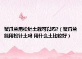 蟹爪兰用松针土栽可以吗?（蟹爪兰能用松针土吗 用什么土比较好）