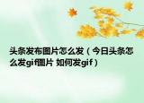 头条发布图片怎么发（今日头条怎么发gif图片 如何发gif）