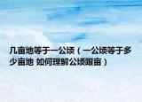 几亩地等于一公顷（一公顷等于多少亩地 如何理解公顷跟亩）