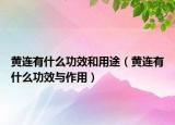 黄连有什么功效和用途（黄连有什么功效与作用）