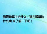 猫眼睛草主治什么（猫儿眼草治什么病 来了解一下吧）