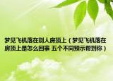 梦见飞机落在别人房顶上（梦见飞机落在房顶上是怎么回事 五个不同预示帮到你）