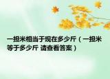 一担米相当于现在多少斤（一担米等于多少斤 请查看答案）