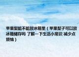 苹果梨能不能放冰箱里（苹果梨子可以放冰箱储存吗 了解一下生活小常识 减少点烦恼）