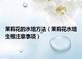 茉莉花的水培方法（茉莉花水培生根注意事项）