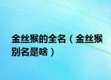 金丝猴的全名（金丝猴别名是啥）