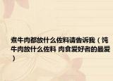 煮牛肉都放什么佐料请告诉我（饨牛肉放什么佐料 肉食爱好者的最爱）