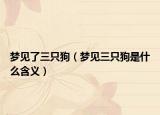 梦见了三只狗（梦见三只狗是什么含义）