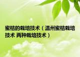 蜜桔的栽培技术（温州蜜桔栽培技术 两种栽培技术）