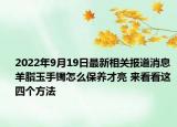 2022年9月19日最新相关报道消息 羊脂玉手镯怎么保养才亮 来看看这四个方法