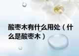 酸枣木有什么用处（什么是酸枣木）