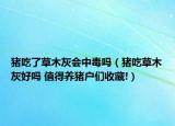 猪吃了草木灰会中毒吗（猪吃草木灰好吗 值得养猪户们收藏!）
