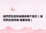 油页岩在吉林省具体哪个地方（油页岩在吉林哪 请看答案）