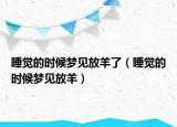 睡觉的时候梦见放羊了（睡觉的时候梦见放羊）
