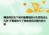 赚钱项目当下农村最赚钱的小生意有这么几种 不看就吃亏了具体情况详细内容介绍