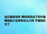当日最新消息 赚钱项目当下农村最赚钱的小生意有这么几种 不看就吃亏了
