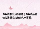 乌头鱼用什么钓最好（乌头鱼的最佳钓法 喜欢钓鱼的人来看看）