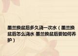 墨兰换盆后多久浇一次水（墨兰换盆后怎么浇水 墨兰换盆后要如何养护）