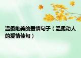 温柔唯美的爱情句子（温柔动人的爱情佳句）