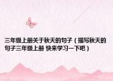 三年级上册关于秋天的句子（描写秋天的句子三年级上册 快来学习一下吧）