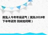 属兔人今年年底运气（属免2019年下半年运势 到底如何呢）