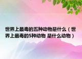 世界上最毒的五种动物是什么（世界上最毒的5种动物 是什么动物）