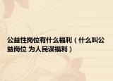 公益性岗位有什么福利（什么叫公益岗位 为人民谋福利）