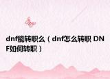 dnf能转职么（dnf怎么转职 DNF如何转职）