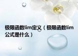 极限函数lim定义（极限函数lim公式是什么）