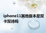 iphone11其他版本是双卡双待吗