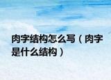 肉字结构怎么写（肉字是什么结构）
