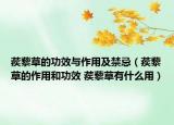 蒺藜草的功效与作用及禁忌（蒺藜草的作用和功效 蒺藜草有什么用）