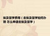 埃及留学费用（去埃及留学如何办理 怎么申请去埃及留学）