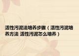 活性污泥法培养步骤（活性污泥培养方法 活性污泥怎么培养）