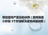 增加蛋鸡产蛋量的诀窍（蛋鸡增蛋小妙招 3个妙招解决蛋鸡减蛋问题）