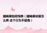 捕蝇草如何饲养（捕蝇草幼苗怎么养 这个行为不能有）