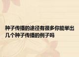 种子传播的途径有很多你能举出几个种子传播的例子吗