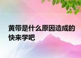 黄带是什么原因造成的快来学吧