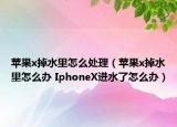 苹果x掉水里怎么处理（苹果x掉水里怎么办 IphoneX进水了怎么办）