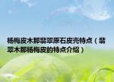 杨梅皮木那翡翠原石皮壳特点（翡翠木那杨梅皮的特点介绍）