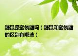 鼯鼠是蜜袋鼯吗（鼯鼠和蜜袋鼯的区别有哪些）