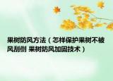 果树防风方法（怎样保护果树不被风刮倒 果树防风加固技术）