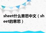 sheet什么意思中文（sheet的意思）
