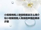 小规模纳税人增值税报表怎么填介绍小规模纳税人增值税申报的具体步骤