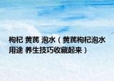枸杞 黄芪 泡水（黄芪枸杞泡水用途 养生技巧收藏起来）