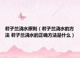 君子兰浇水原则（君子兰浇水的方法 君子兰浇水的正确方法是什么）