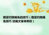 路亚钓翘嘴鱼的技巧（路亚钓翘嘴鱼技巧 这篇文章来教你）