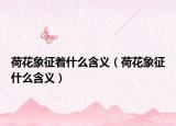 荷花象征着什么含义（荷花象征什么含义）
