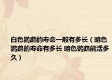 白色鹦鹉的寿命一般有多长（暗色鹦鹉的寿命有多长 暗色鹦鹉能活多久）